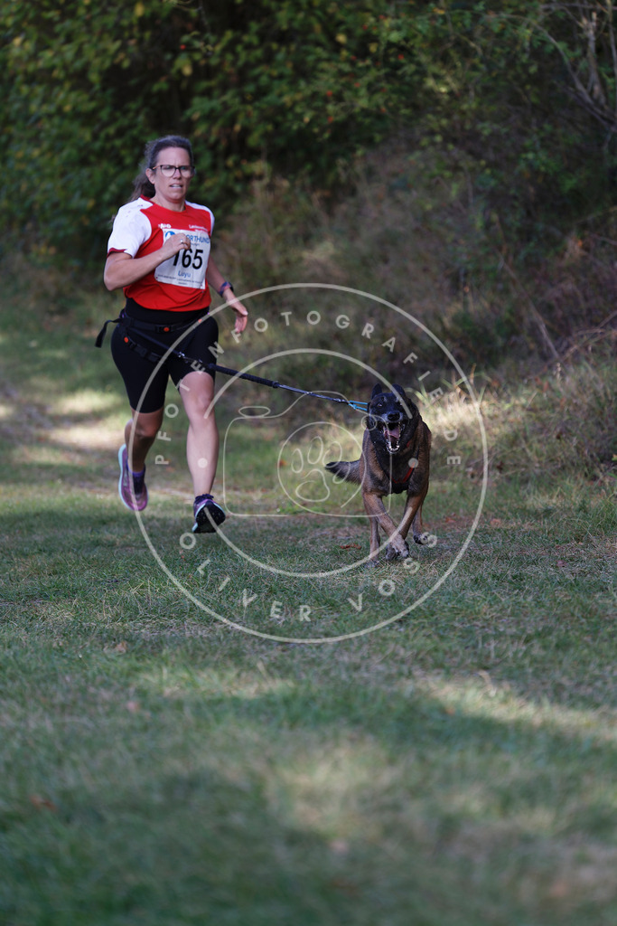 0L8A5383 | Hundefotografie, Tierfotograf, Pfotenfotografie, Fotoshooting Hund, Hunde Portrait, Hundesport, Hundeportraits, Heideshooting, Hunde, Sportfotograf, Hundefotograf, Turnierhundsport, THS,  - Realisiert mit Pictrs.com
