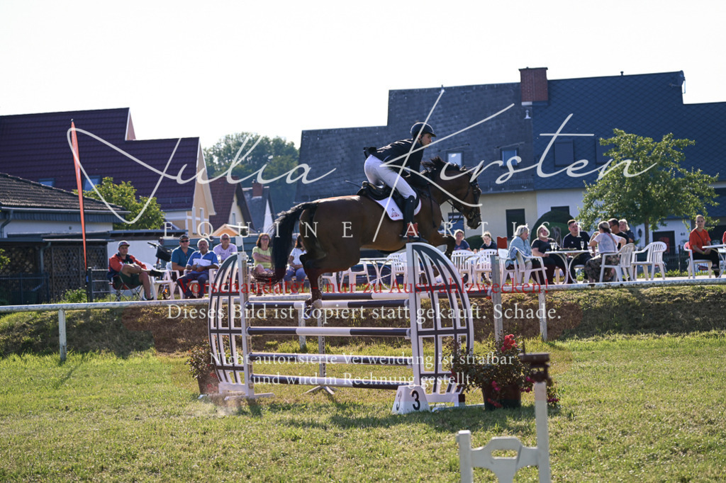 DSC_1695 | Pferde- und Turnierfotografie in Westsachsen. Pferdeportraits, Auftragszeichnungen und intuitive Kunst.