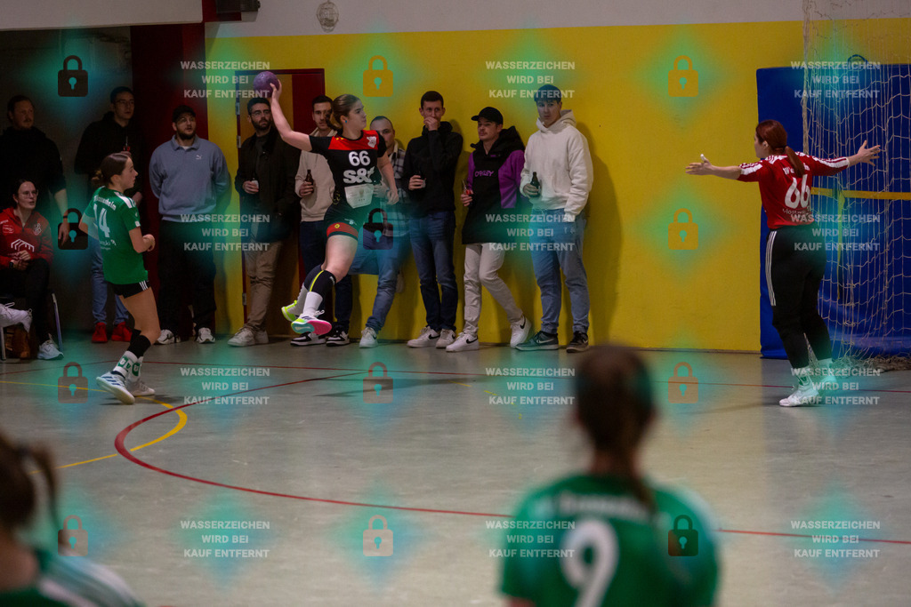 _HP_4838_3000o | TV Welling Damen vs. TV Bassenheim 05.01.2024