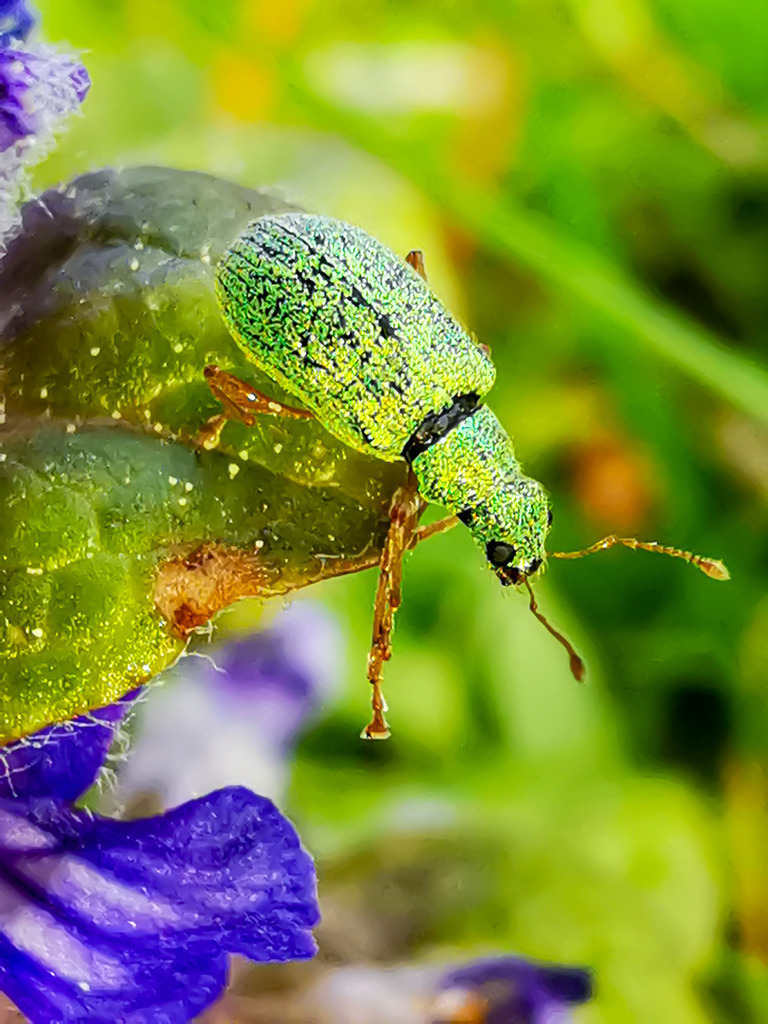 PSX_20240430_220152 | mtkfoto_ - Realisiert mit Pictrs.com