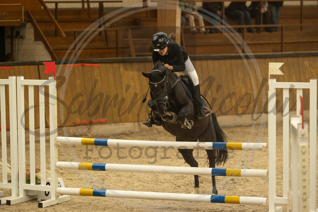 994A6157 | sabrinanicolaifotografie - Realisiert mit Pictrs.com