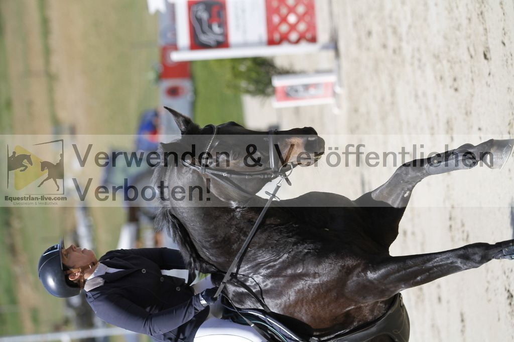 _MG_0565 | equestrian-live-com