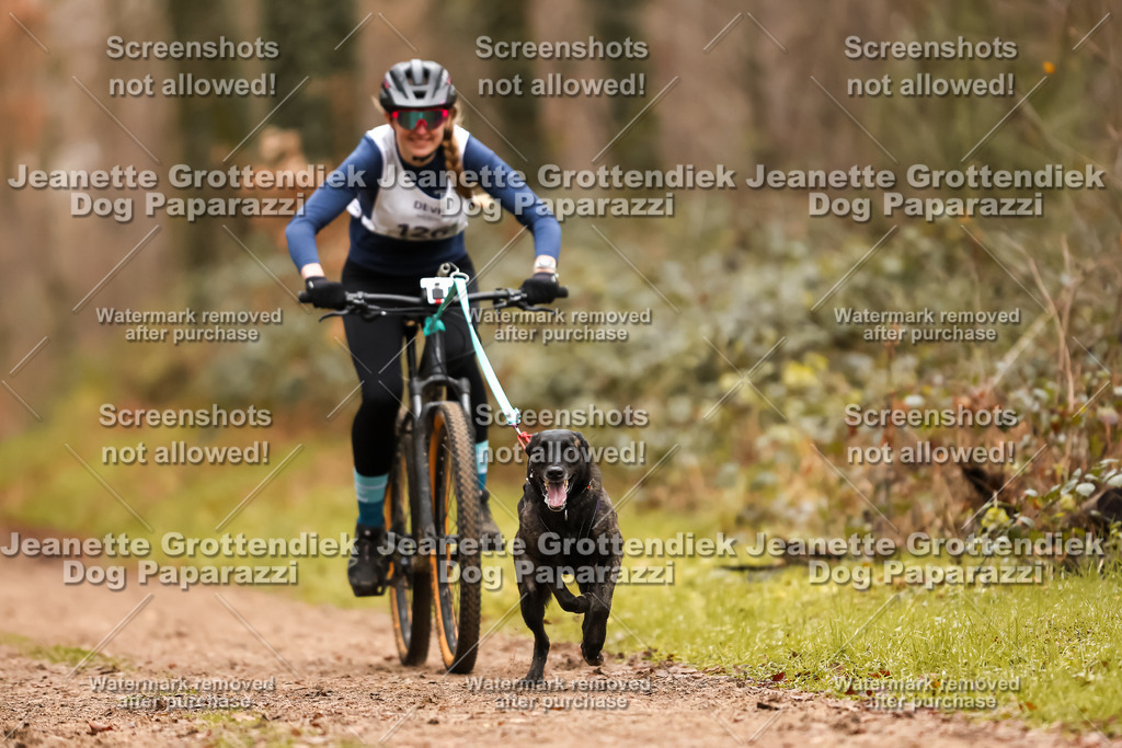 Dog Paparazzi - Speedhunter Mannheim  2025-352 | Dog Paparazzi Jeanette Grottendiek Fotografie & Videografie