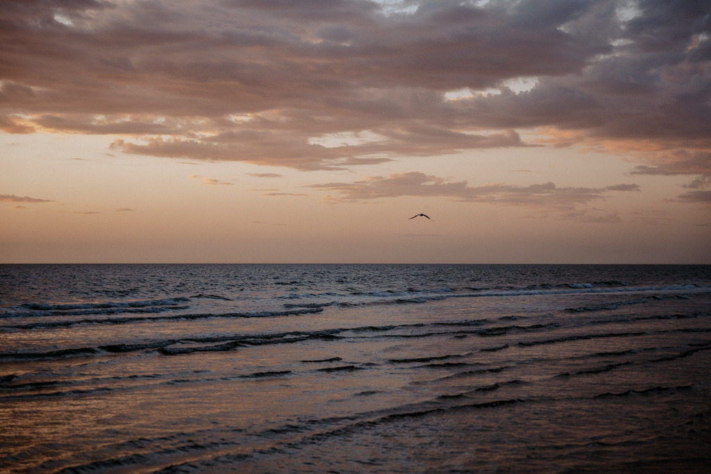 DSC08414 | Print Shop 
Fotografie
Posterdruck
Landschaftsfotografie
Reisefotografie
Naturfotografie
Anja Brandes Poster 
Anja Brandes Photography 
Prints for Walls 
Printable 
Posterdrucke
Poster aesthetic 
Poster Wall 
Poster Prints 
Poster schwarz weiß - Realisiert mit Pictrs.com