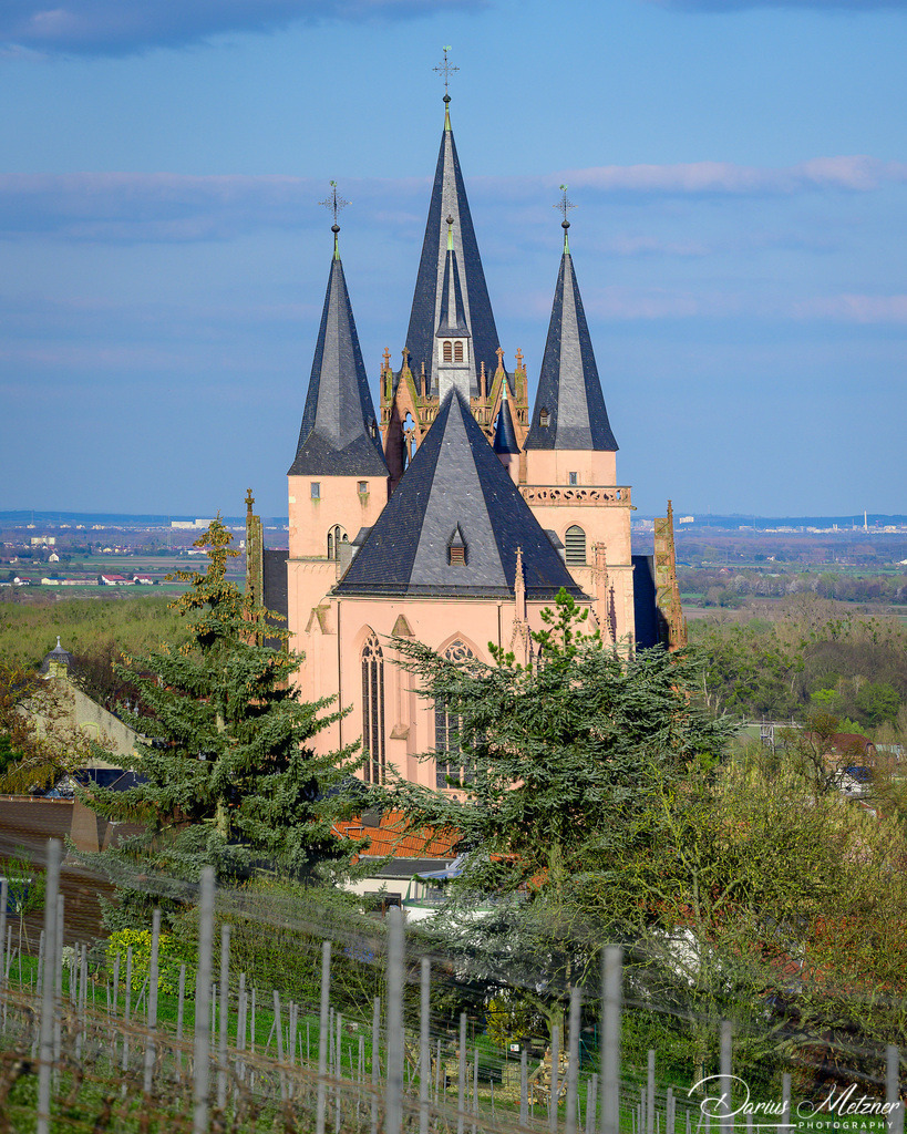 Die Katharinenkirche in Oppenheim | Die Katharinenkirche in Oppenheim