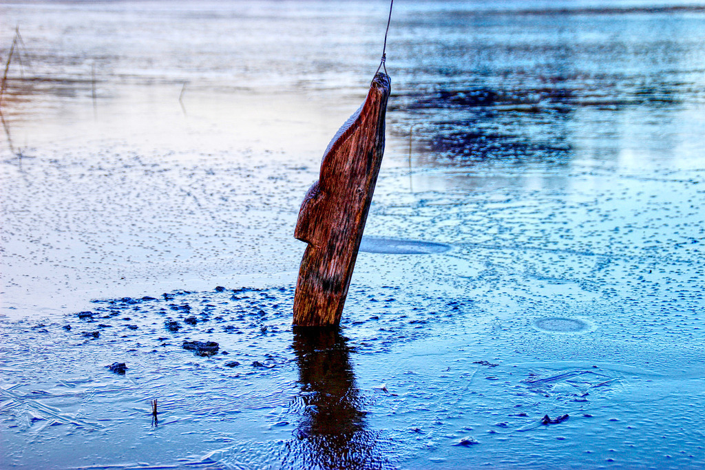 Holzfisch im Eis | www-pimpup-me - Realisiert mit Pictrs.com