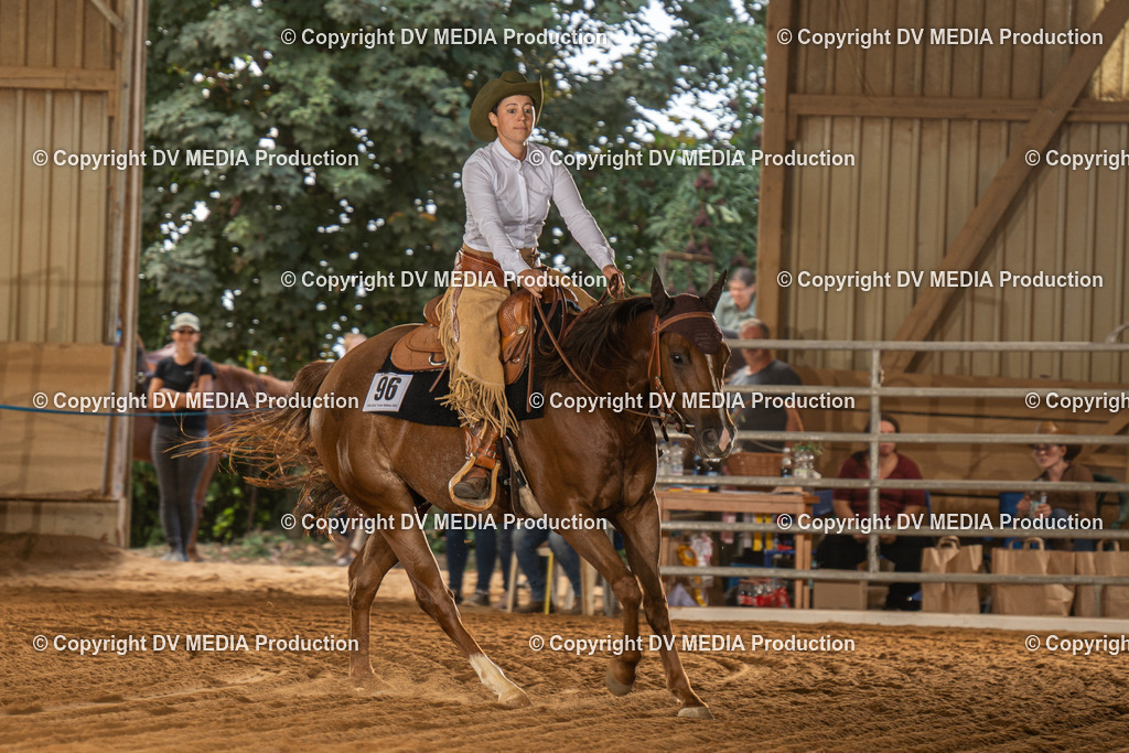 NID01765 | dv-media-shop - Realisiert mit Pictrs.com