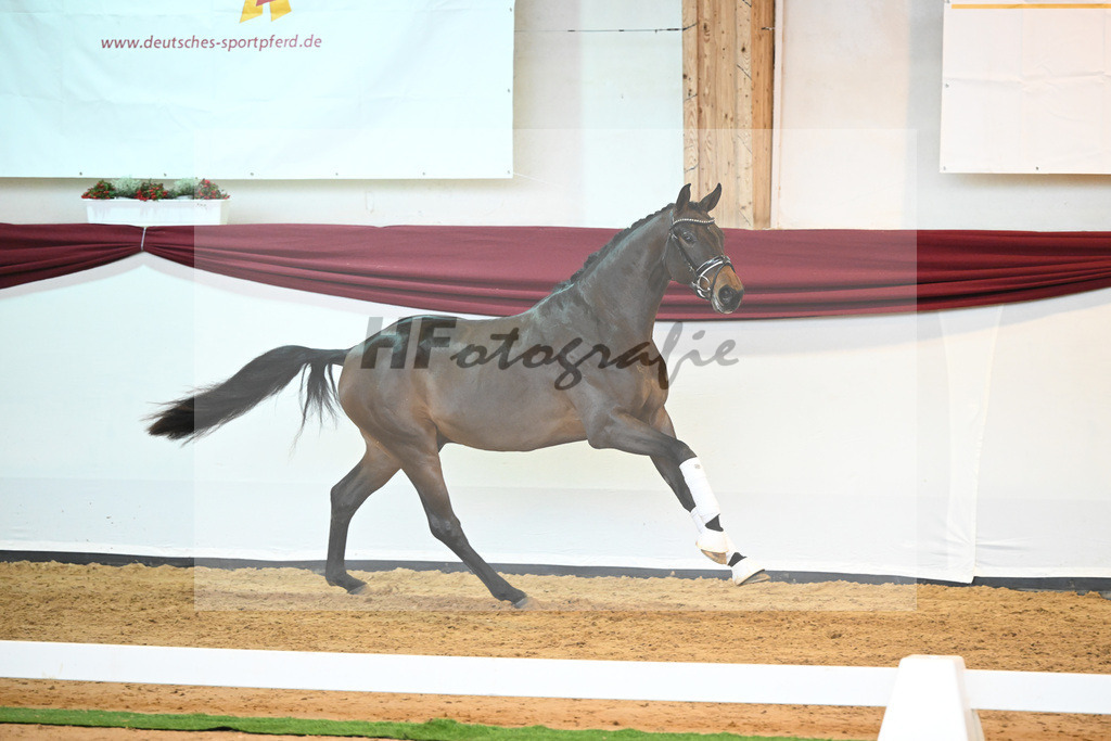 Kat-Nr. 9 v. Bonds_Schmidt_66221697 | hf-fotografie - Realisiert mit Pictrs.com