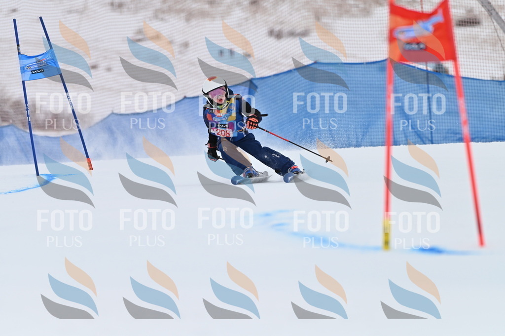 BGV_2275 | holidayphoto