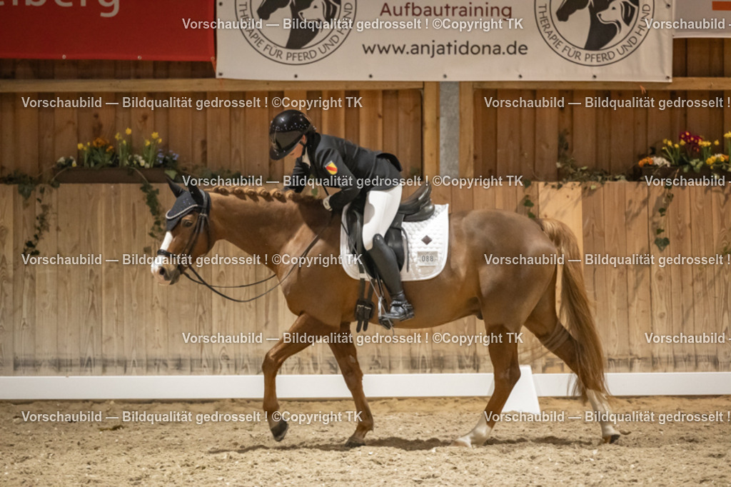 _D5A0897 | Emotionale Pferde- & People-Fotografie rund um Heidelberg, Leimen & Umgebung. Natürliche Fotos von Pferd, Mensch & Familie. Jetzt Termin sichern!