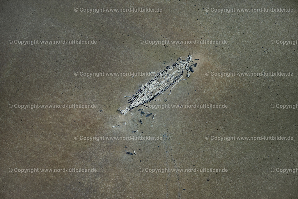 Sylt_Braderup_Wrack_Mariann_ELS_4543130825 | WENNINGSTEDT-BRADERUP (SYLT) 13.08.2025 Umrisse eines Schiffswracks " Mariann " im Wattenmeer vor Wenningstedt-Braderup (Sylt) im Bundesland Schleswig-Holstein, Deutschland. // Outline of a shipwreck " Mariann " in the Wadden Sea off Wenningstedt-Braderup (Sylt) in the federal state of Schleswig-Holstein, Germany. Foto: Martin Elsen