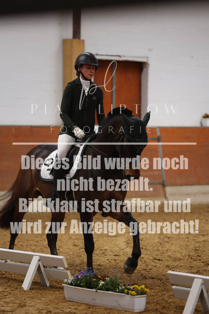 IMGM0718 | pl-fotografie