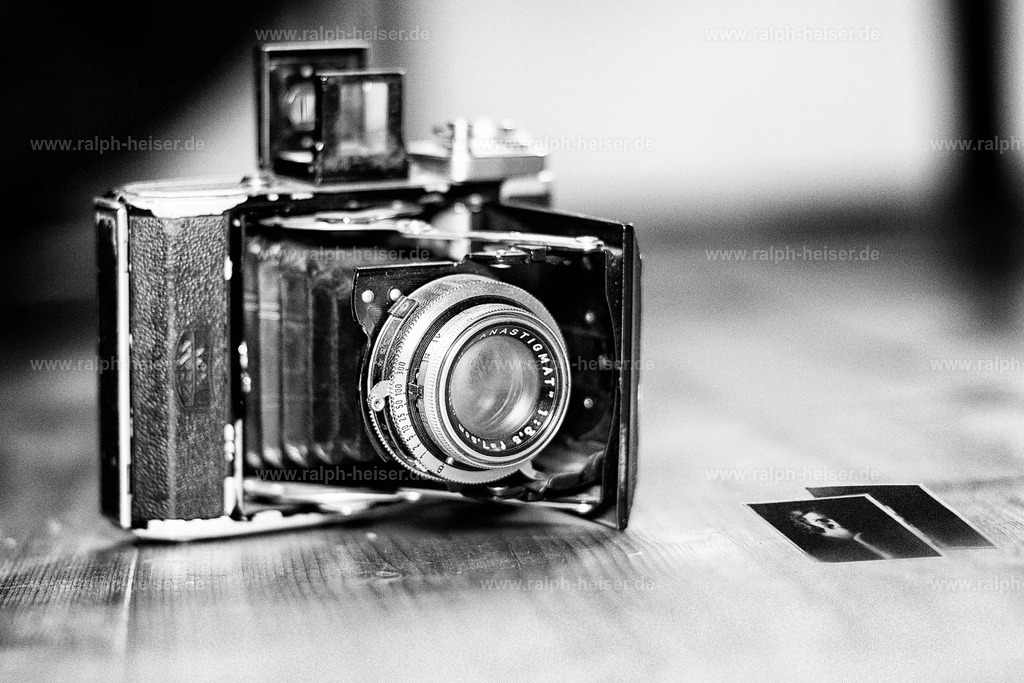 Stil Life | Wandbilder, Bilder, Fotograf in Marburg, Tierbilder, Wandfotos, Bilder Shop, Günstige Bilder, Schwarz-Weiß Bilder, Ralph Heiser