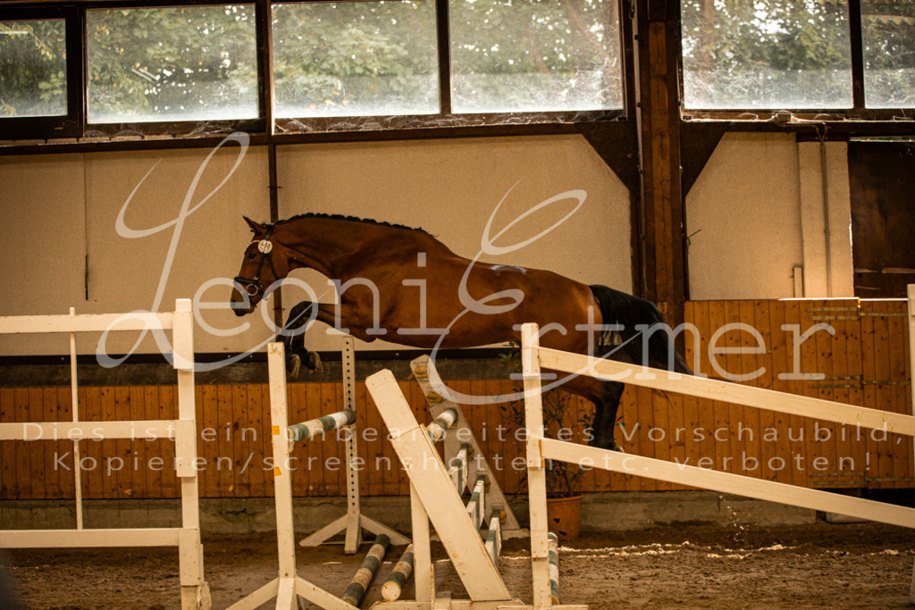 2FS_L00134 | Leoni Ertmer Photography - Realisiert mit Pictrs.com