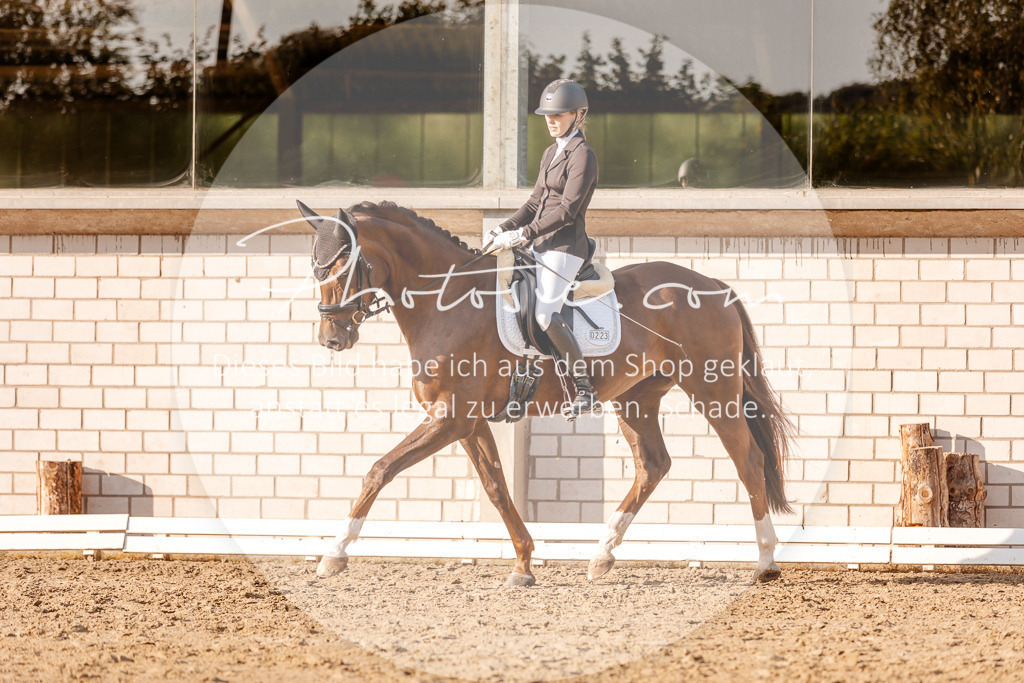 3I6A2480 | Stimmungsvolle Portraits und Reitsportfotografie im Ruhrgebiet und im Münsterland.

Pferdefotografie, Hundefotografie, Tierfotografie, Reportagen, Portraits von Tier und Mensch, Turnierfotografie in Bochum, Recklinghausen, Marl, Haltern am See, Dülmen.. - Realisiert mit Pictrs.com