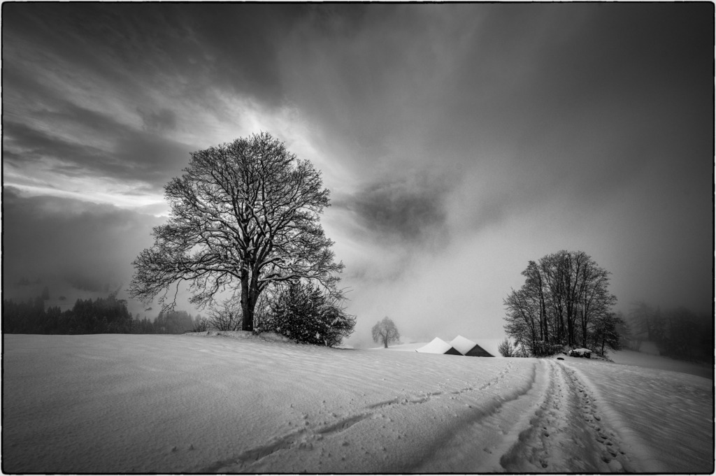 Niesen im Nebel | Niesenbänkli in Ringoldswil - ein wunderbarer Aussichtspunkt. Von hier aus ist der Thunersee und der Niesen zu sehen und das ganze Alpenpanorama. HIer, kurz vor dem nächsten Schneefall, hatte ich vergebens gehofft, dass sich kurz ein Fenster zum Niesen auftut. Die Aufnahme gefällt mir aber auch so.
Meine Vorstellung habe ich mir später in Photoshop zusammenmontiert: https://www.hess.photography/Chrono/2020-2024/2021/2021/n-b23qZt/i-7fJtLTd/A
------------------------------------------------------------
Niesenbänkli in Ringoldswil - a wonderful view point. From here you can see Lake Thun and the Niesen and the entire Alpine panorama. Here, shortly before the next snowfall, I had hoped in vain that a window would briefly open to the NIesen. But I also like the shot as it is.
I later put my imagination together in Photoshop: https://www.hess.photography/Chrono/2020-2024/2021/2021/n-b23qZt/i-7fJtLTd/A
------------------------------------------------------------
Dieser Druck ist in einer limitierten Auflage von 5 Exemplaren erhältlich. 
This print is available in a limited edition of 5 copies. 
http://art.hess.photography/103-niesen-im-nebel.html - Realisiert mit Pictrs.com