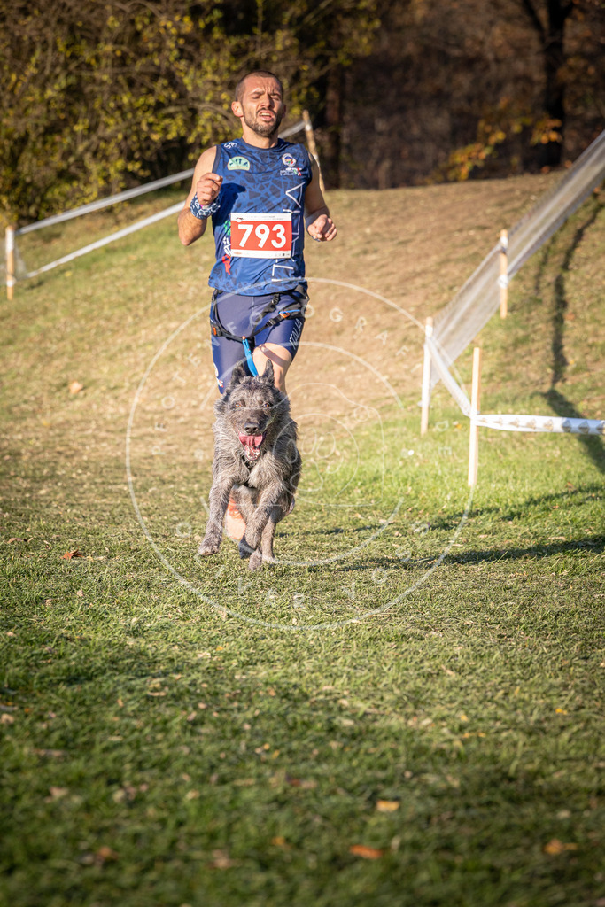 CaniXpix_0L8A0225 | Hundefotografie, Tierfotograf, Pfotenfotografie, Fotoshooting Hund, Hunde Portrait, Hundesport, Hundeportraits, Heideshooting, Hunde, Sportfotograf, Hundefotograf, Turnierhundsport, THS,  - Realisiert mit Pictrs.com