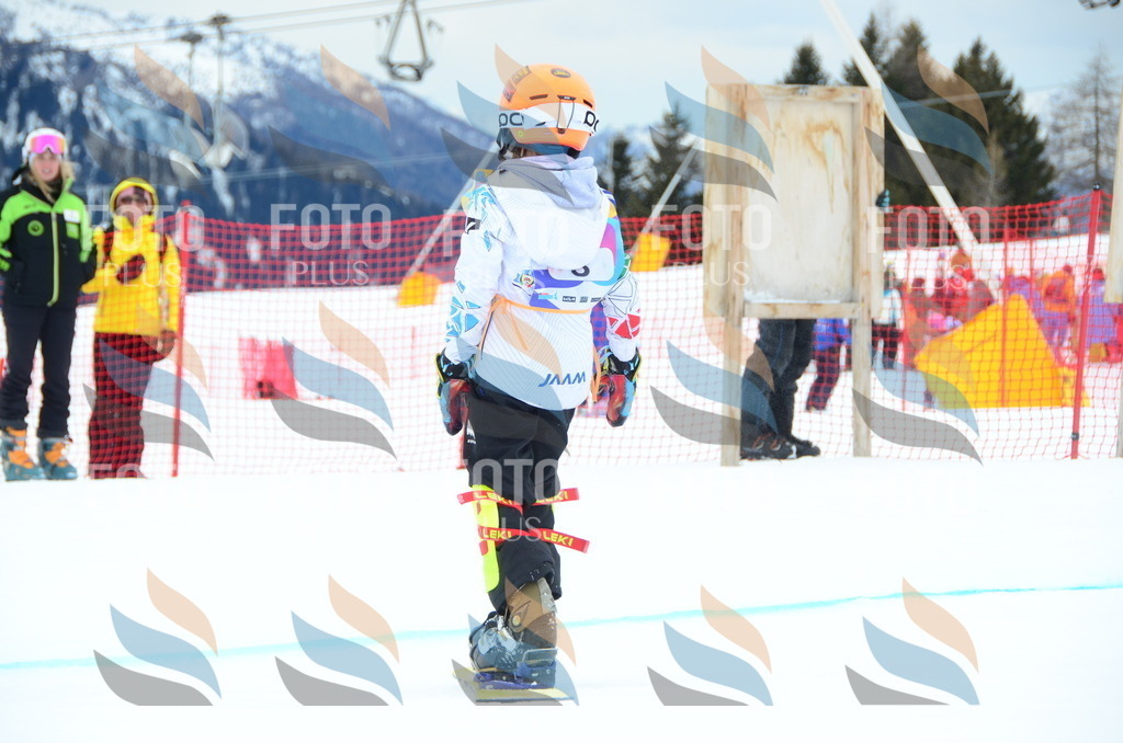 DSC_2048 | holidayphoto