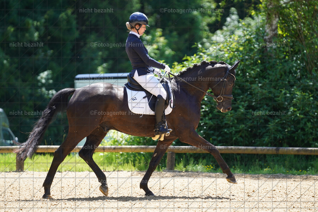 20240705-FAH03753 | Turnierbilder von Grafing, Reitsportbilder, Turnierfotos, Turnierfotografen Bayern, Pferdefotograf, Fotoagentur Herrmann