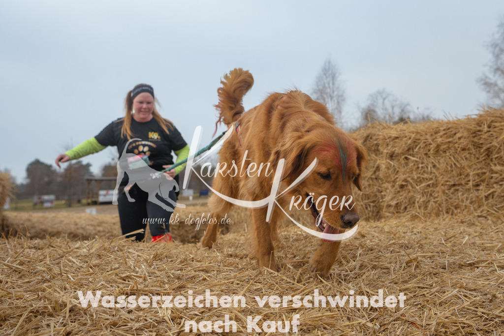 0950_ZZ90267 | kk-dogfotos