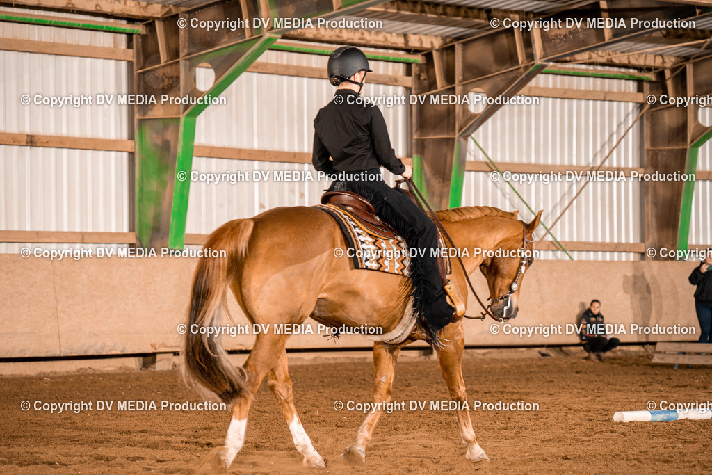 BA300329 | dv-media-shop - Realisiert mit Pictrs.com