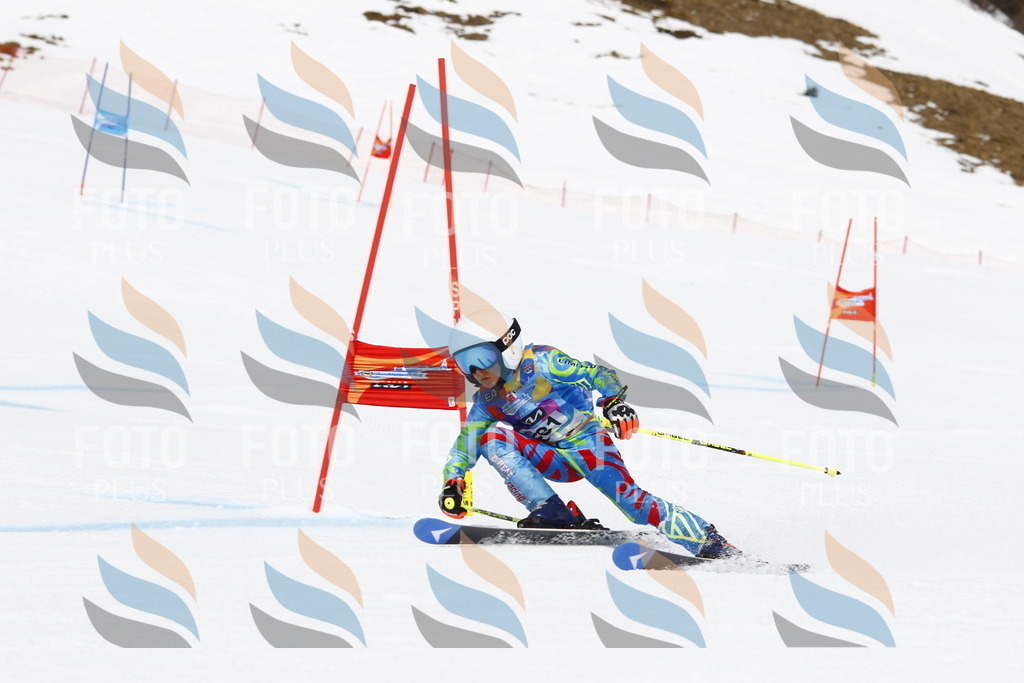 _U3G7046 | holidayphoto