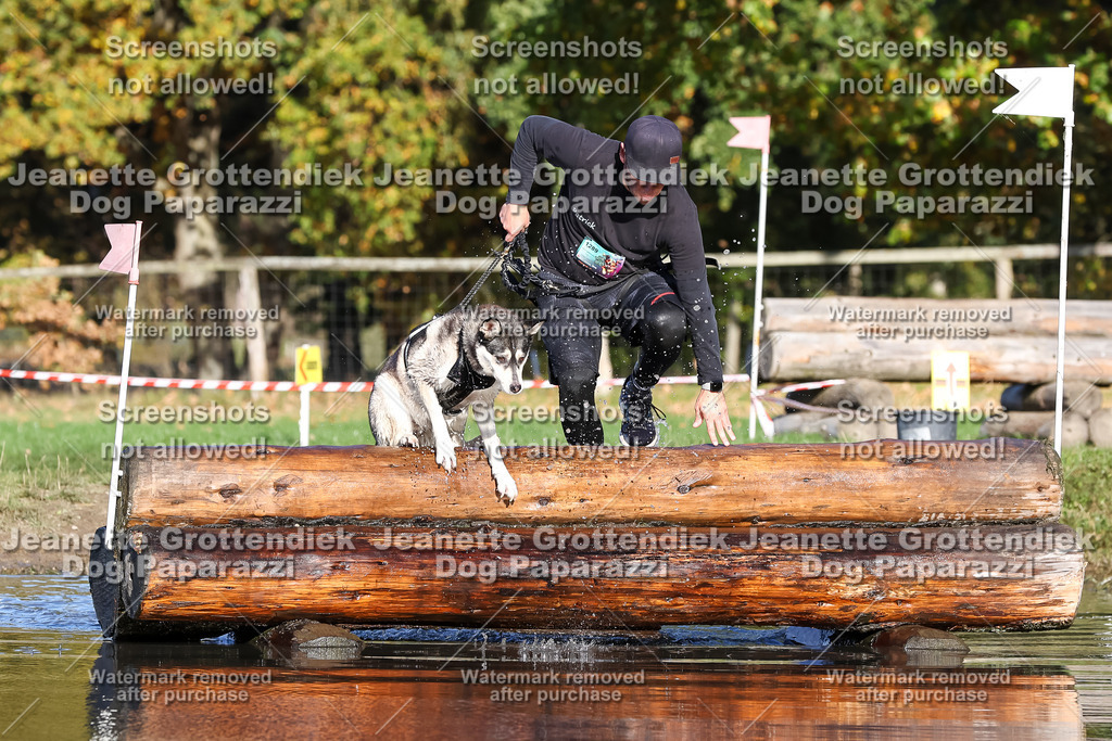 Dog Paparazzi - Strongdog 10-25-8680 | Dog Paparazzi Jeanette Grottendiek Fotografie & Videografie - Realisiert mit Pictrs.com