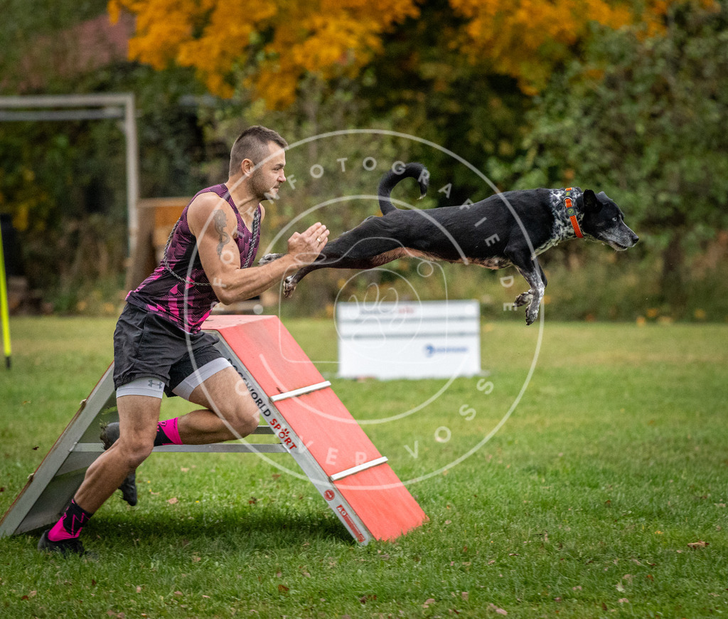 Pfotenfotografie_DV3A0838 | Hundefotografie, Tierfotograf, Pfotenfotografie, Fotoshooting Hund, Hunde Portrait, Hundesport, Hundeportraits, Heideshooting, Hunde, Sportfotograf, Hundefotograf, Turnierhundsport, THS,  - Realisiert mit Pictrs.com
