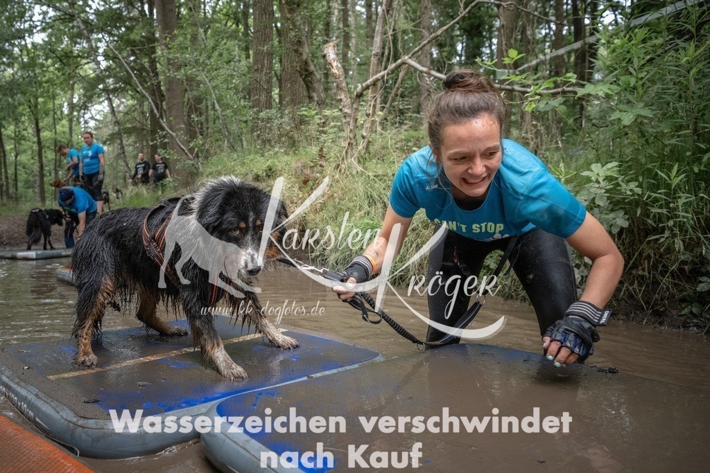 1254_ZZ91519T | kk-dogfotos