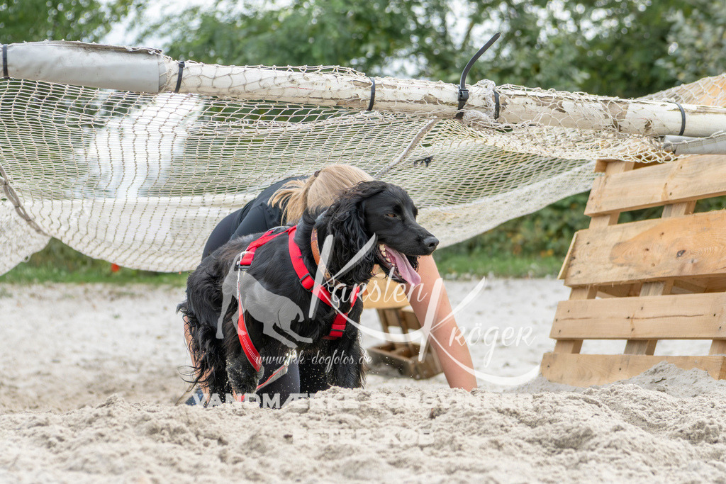 1521_ZZ94710 | kk-dogfotos