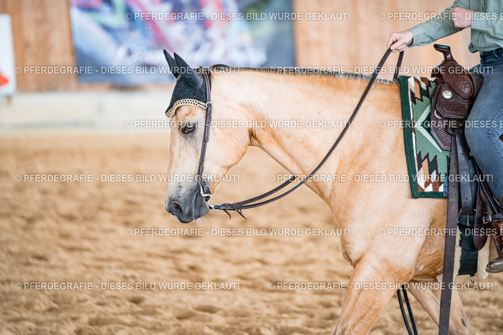 DSC09653 | Pferdegrafie