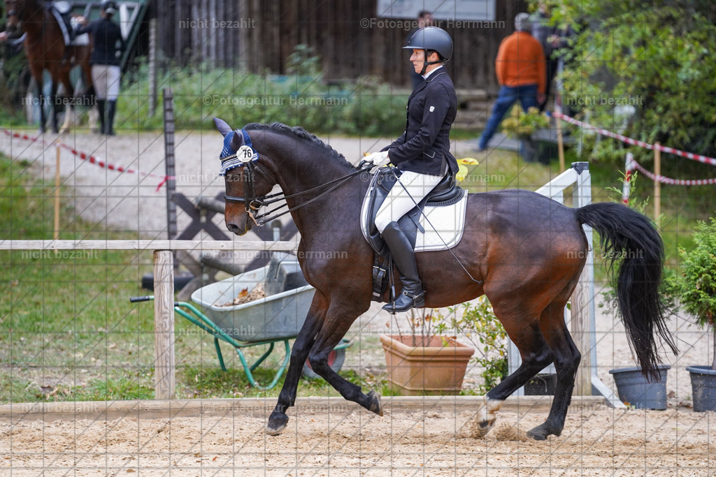20231007-SN_00936 | Professionelle Turnier- und Reitsportfotografie - mit dem Finger am Auslöser. Pferdebilder aus dem Reitsport von den Turnierfotografen  Bayern , Pferdefotograf Bayern, Pferdeshooting Turnierbilder, Hochzeitsfotograf, Eventfotograf, Hochzeitsbilder