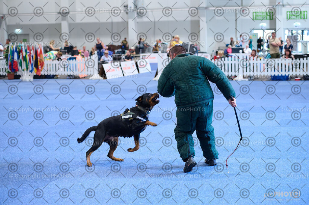 202406_ÖKV-IHA-Tulln24_DSC_2764 | proPHOTO - Realisiert mit Pictrs.com