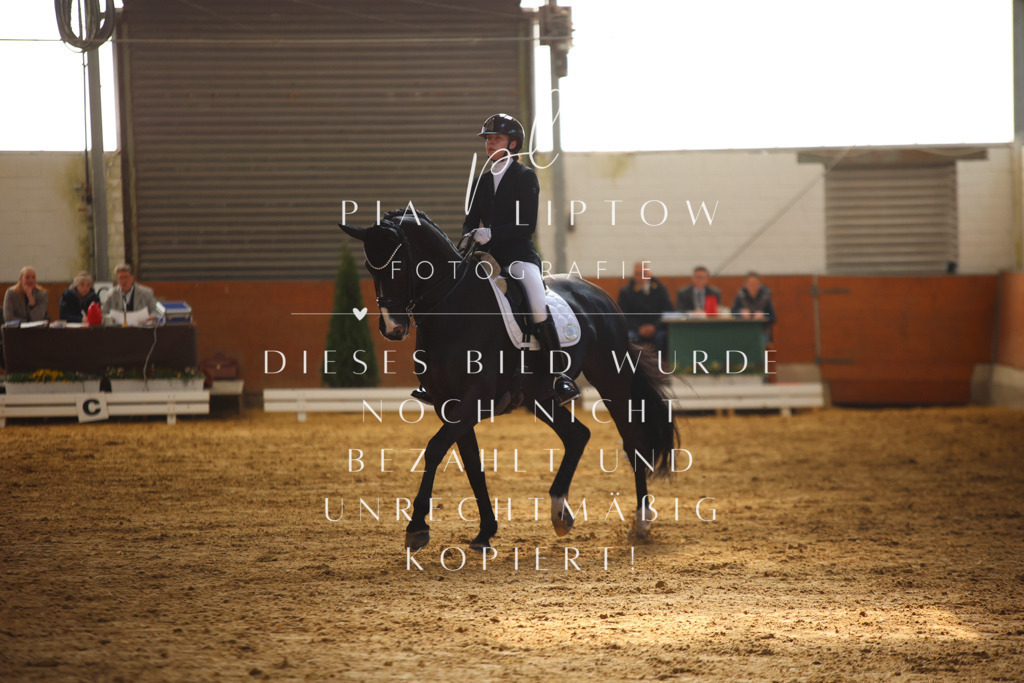 IMGT9988 | pl-fotografie