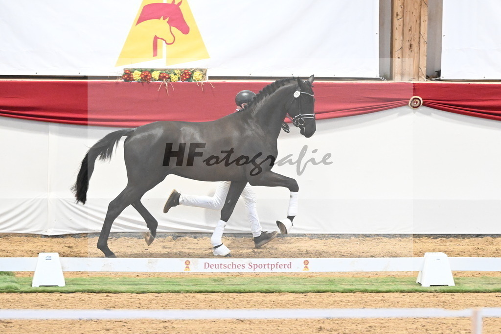 Kat.-Nr. 39 v. De Chirico_Schadock_3260286 | hf-fotografie - Realisiert mit Pictrs.com