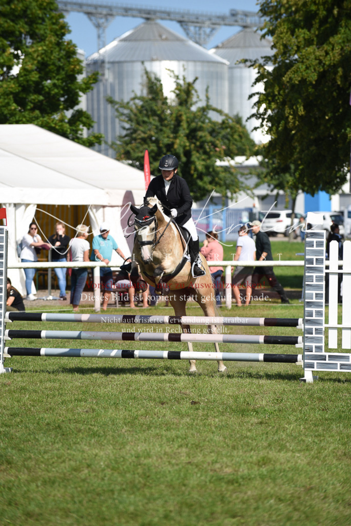 DSC_9083 | Pferde- und Turnierfotografie in Westsachsen. Pferdeportraits, Auftragszeichnungen und intuitive Kunst.