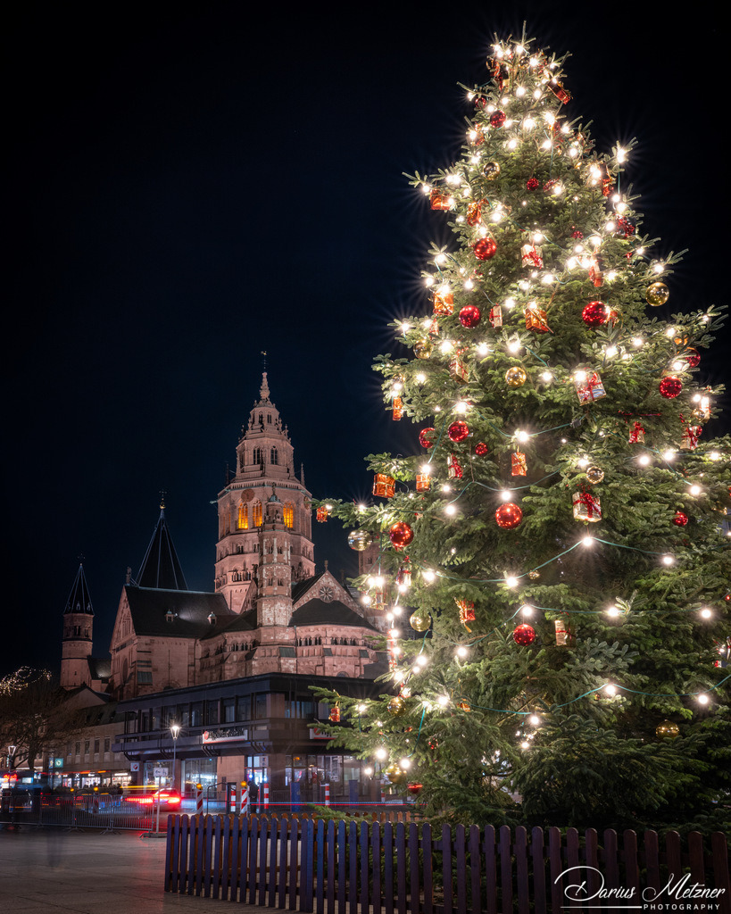 DSC_6823 | Fotografien, Fotos und Bilder aus Mainz, Frankfurt, Wiesbaden und anderen Orten auf der Welt - Fotografiert von Darius Metzner