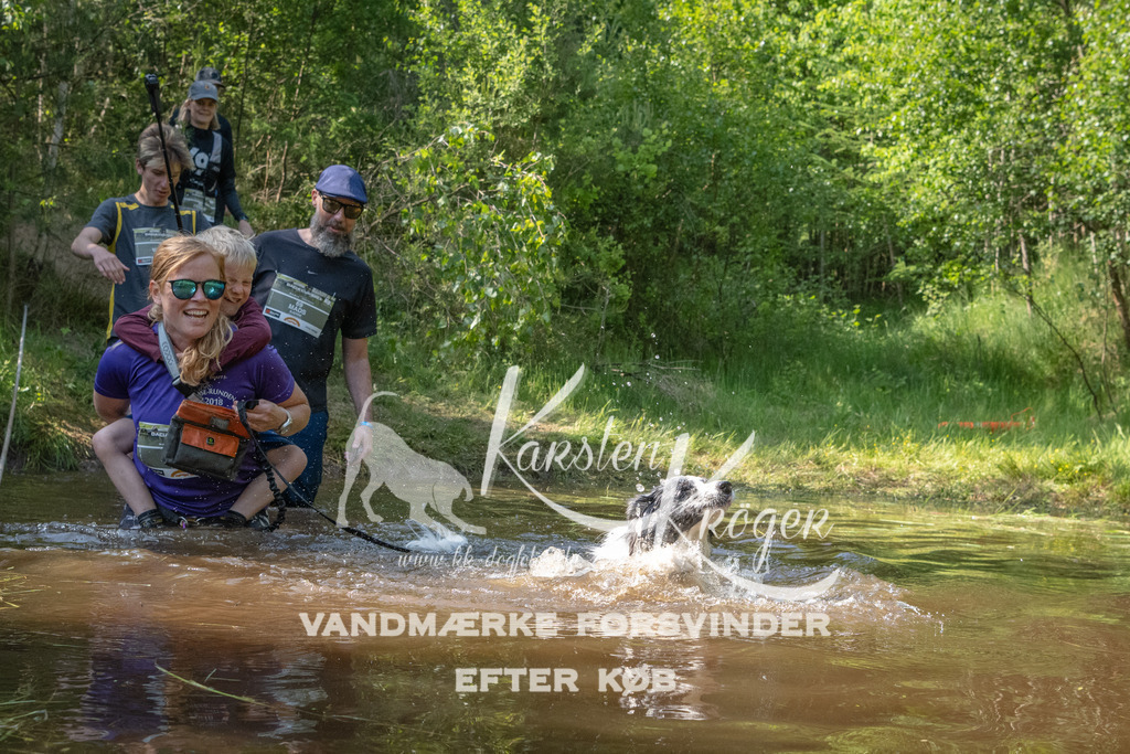 1629DKK990658 | kk-dogfotos