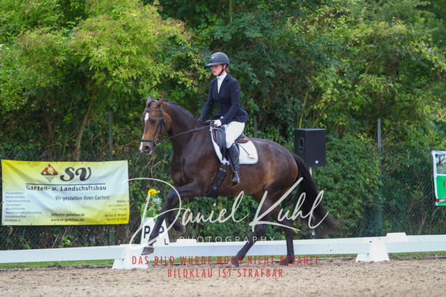 DKP40470 | Turniersportfotografie; Pferdefotografie; Dressurfotografie