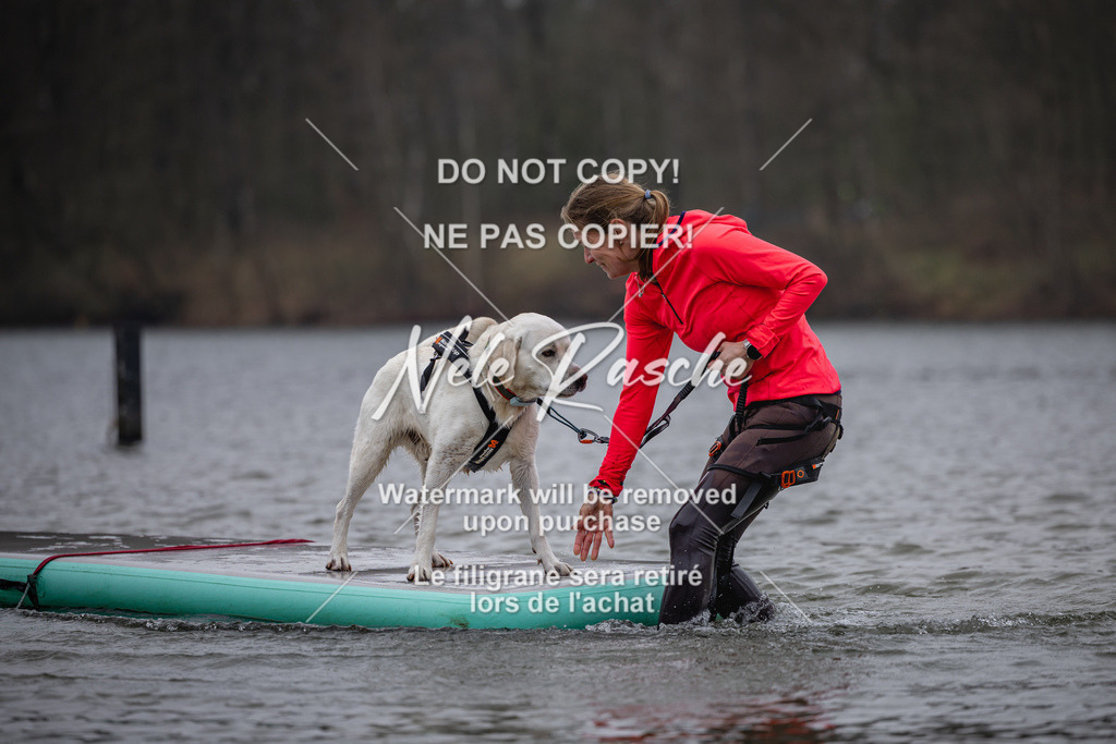 nelerasche_Hulsbeek_Sa1430-1515_362 | nelerasche