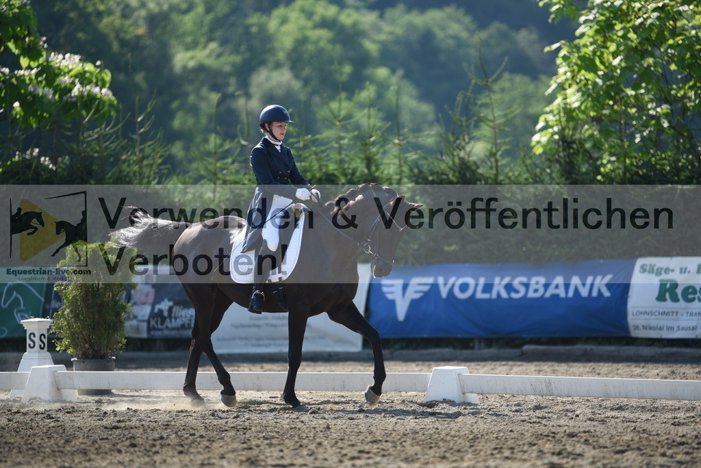 DSC_2603 | equestrian-live-com