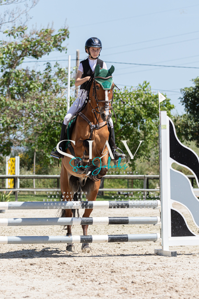 IMG_0509 | s-jay-photography - Realisiert mit Pictrs.com