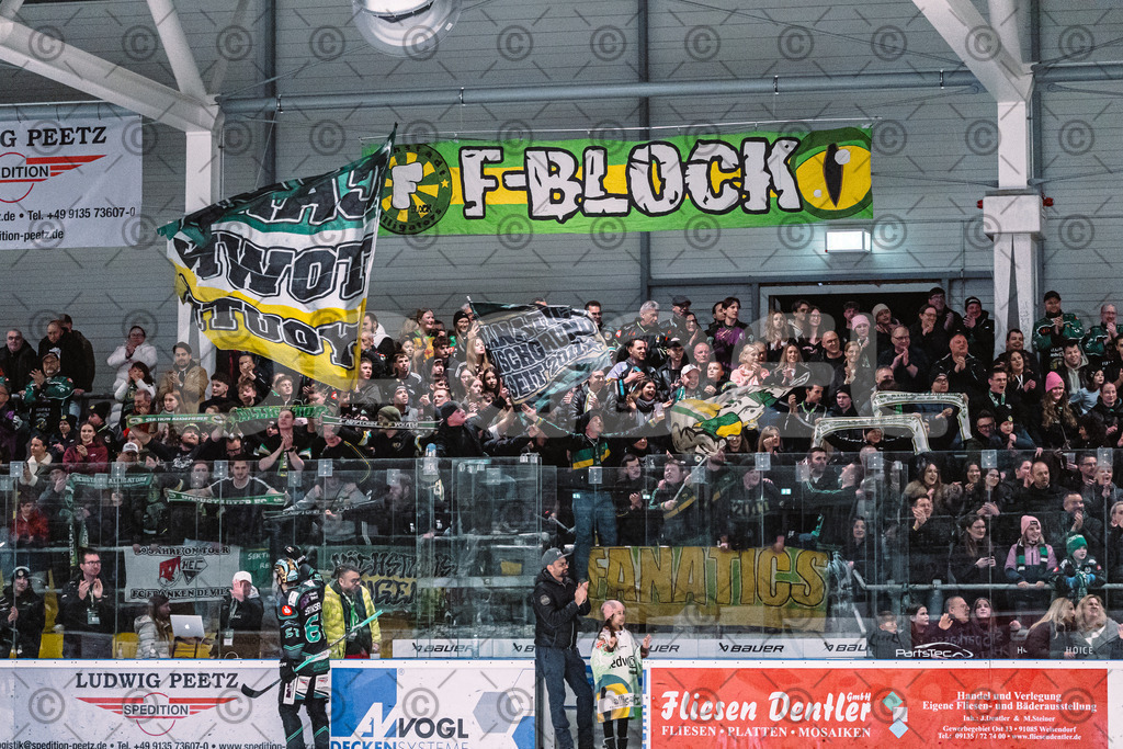 Alligators_vs_Selb_27_02_2026-55 | Höchstadt Alligators Fotogalerie: Eishockey-Action aus Franken. Professionelle Spielfotos, Portraits & Stadionbilder zum Download. Jetzt entdecken! - Realisiert mit Pictrs.com