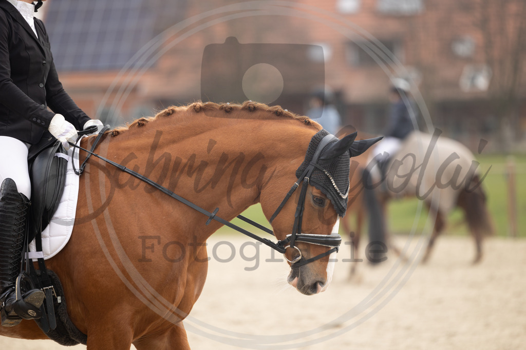 994A8696 | sabrinanicolaifotografie - Realisiert mit Pictrs.com