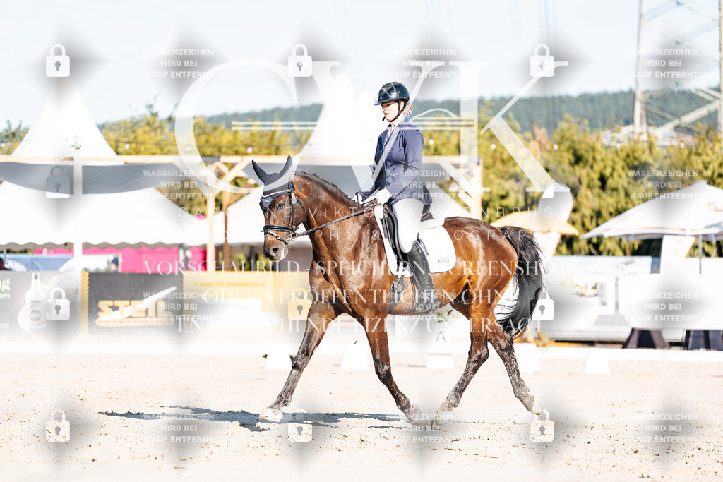 CK907300 | Turnierfotografie Pferdefotografie Trier Rheinland-Pfalz Pferdesport Reitsport Tierfotografie Sportfotografie Pferdevideo Pferdevideografie Equestrianvideography equestrianphotography  - Realisiert mit Pictrs.com