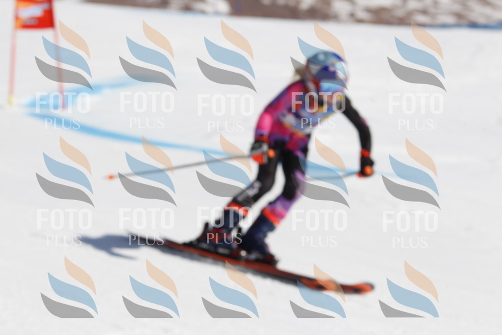 _U3G9214 | holidayphoto