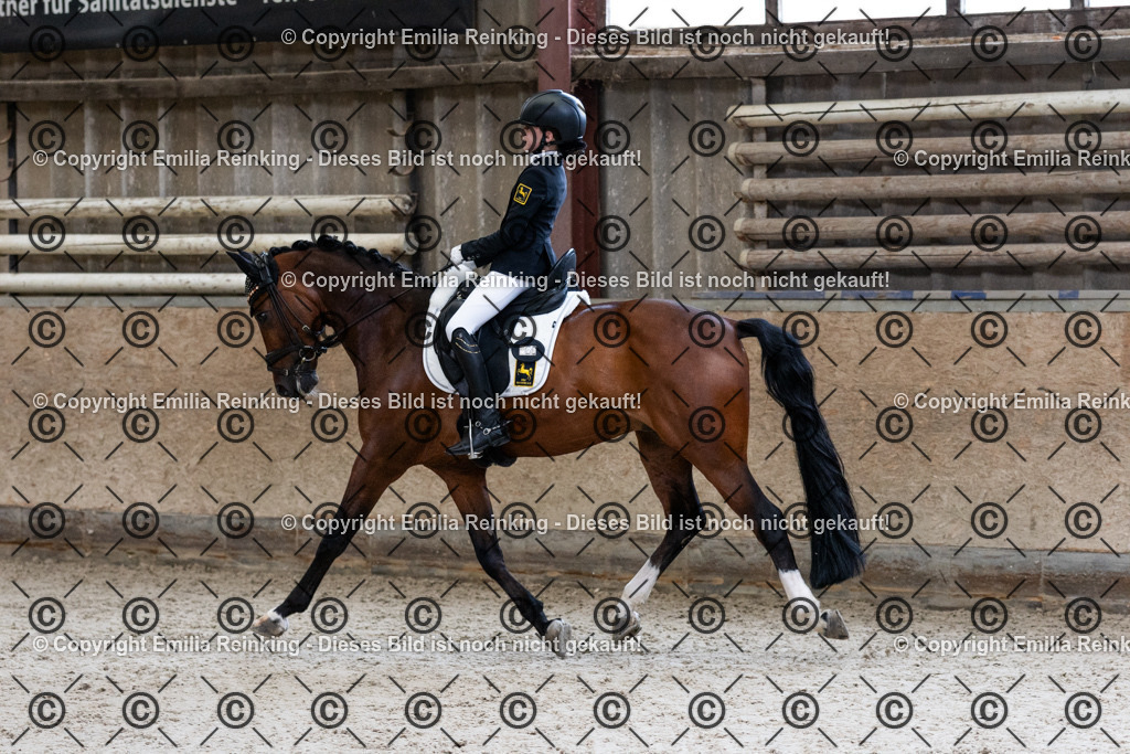 CL5A5045 | Emilia Reinking Fotografie - Realisiert mit Pictrs.com