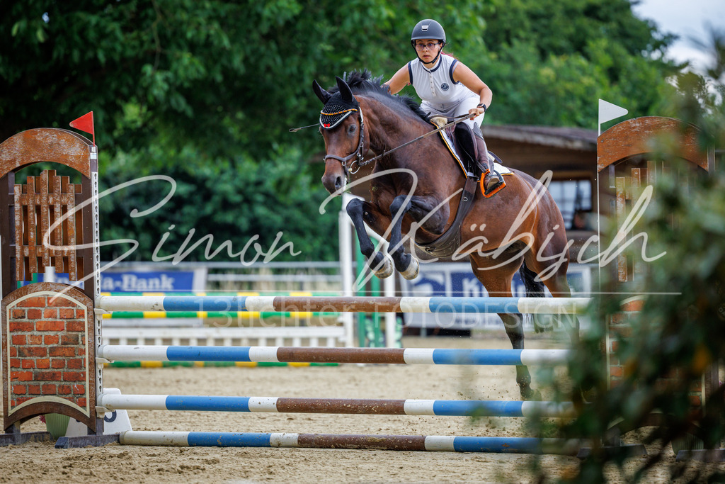 20260705-_3LI5082 | Tierfotografie Pferde, Hunde, Katzen, Haustiere.
Turnierfotografie Reitturniere, Reiten, Springreiten, Dressur in Hanau, dem Main-Kinzig-Kreis und dem Rhein-Main- Gebiet um Frankfurt