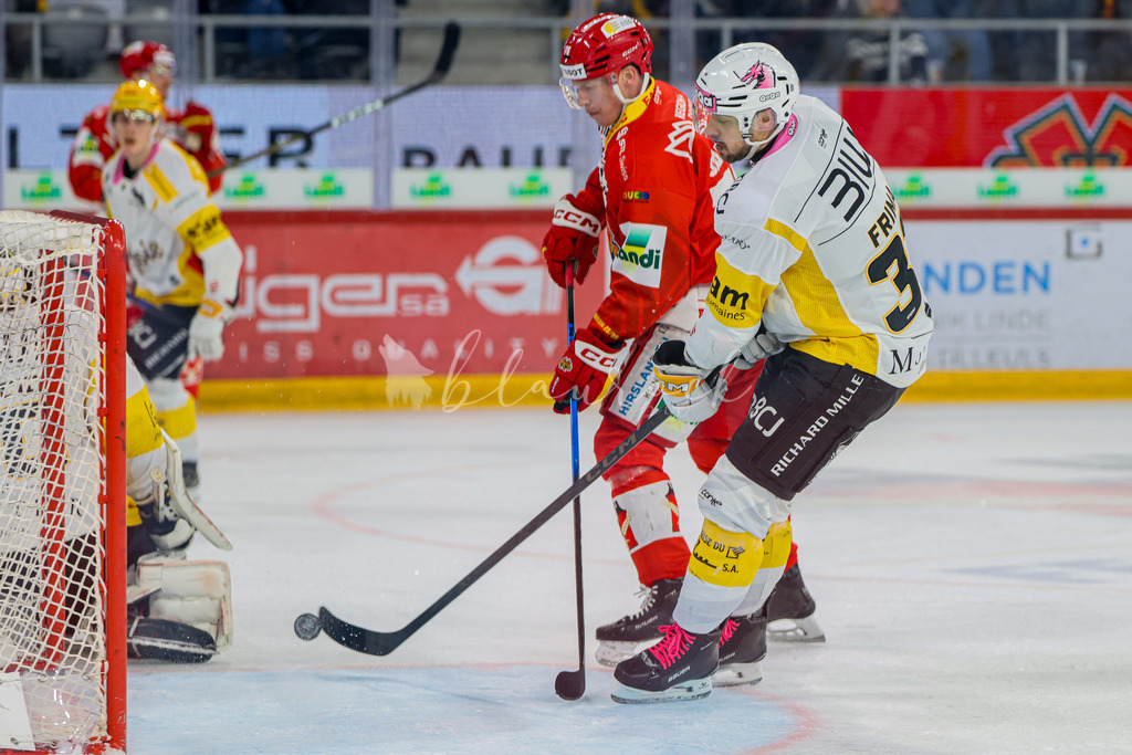 EHCB vs HCA 20260127_wb-9470 | Sportbilder, Sportfotograf, Hochzeits- und Eventfotografin, Flugshows, Portraits und Tiershooting, Aviation, Downhill, Nationalleague, Swissleague, International