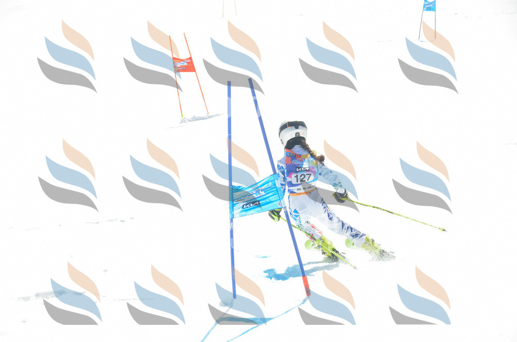 _ELE6084 | holidayphoto